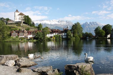 Göl İsviçre ile manzara