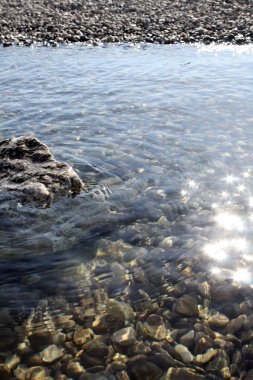 Plaj adriaticwith taşlar
