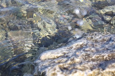 Plaj adriaticwith taşlar