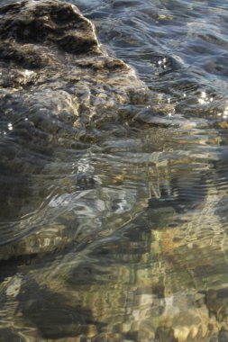 Plaj adriaticwith taşlar