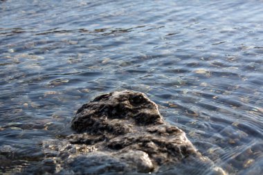 Plaj adriaticwith taşlar