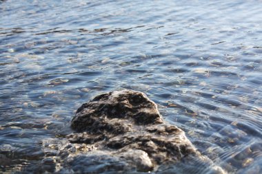 Plaj adriaticwith taşlar