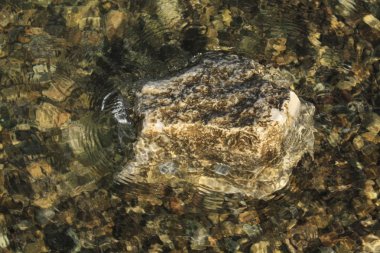 Adriyatik Denizi kıyısında taşlarla.