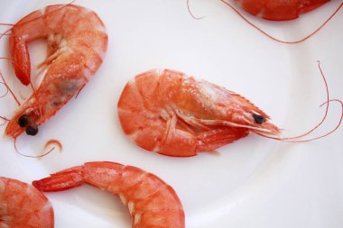 Beyaz tabak haşlanmış karides.