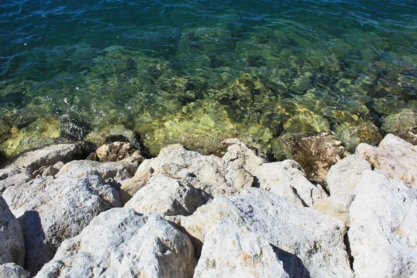 Mer Adriatique Côte Sauvage — Photo