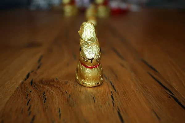 Lebre de chocolate suíço Páscoa — Fotografia de Stock