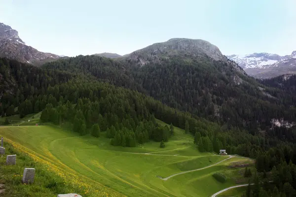 Paisaje Primavera Los Alpes Suizos Suiza — Foto de Stock