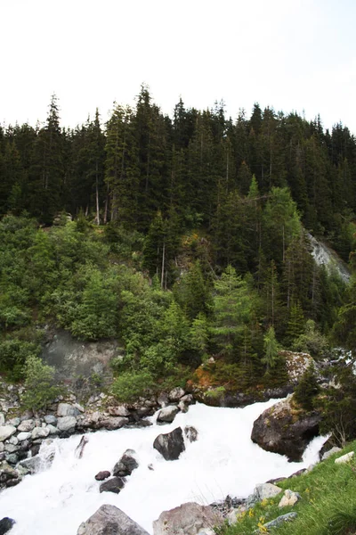 Río Las Montañas Alpes Bosque Suiza —  Fotos de Stock