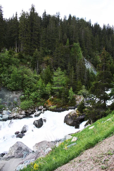 Río Las Montañas Alpes Bosque Suiza —  Fotos de Stock