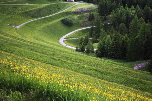 İsviçre Alpleri'nde bahar manzara. İsviçre. 