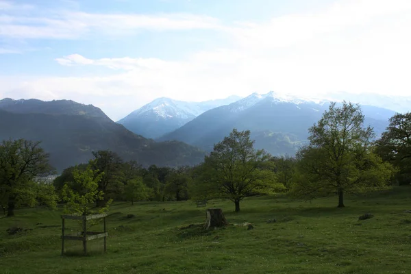 Eichenpark Den Alpen Der Schweiz Heidi Park — Stockfoto