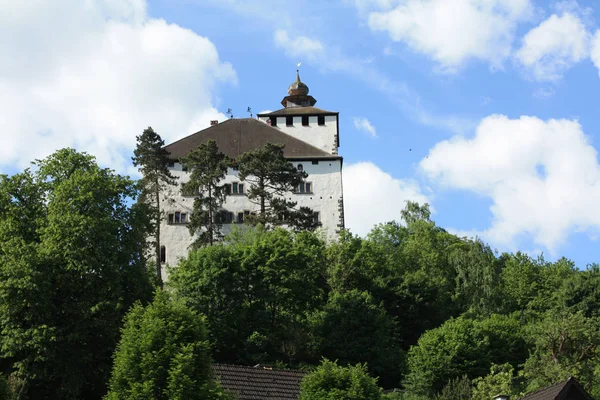 Σχολικό Κάστρο Στην Κοιλάδα Του Ρήνου Στο Ελβετοί — Φωτογραφία Αρχείου