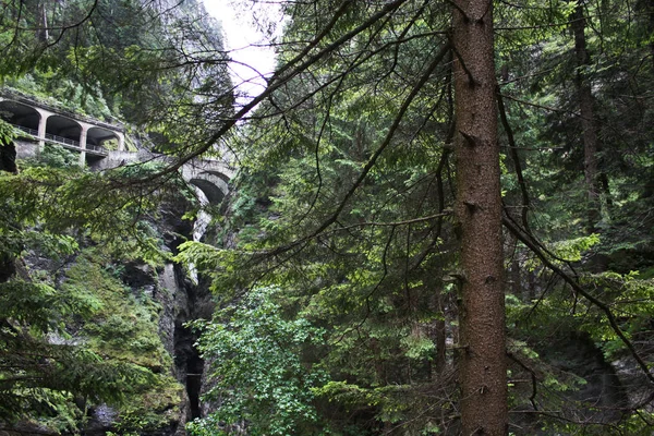 Viamala İsviçre köprü manzara