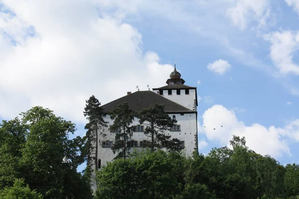 Castle Werdenberg Rhine Valley Swiss — Stock Photo, Image