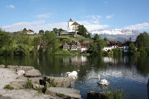 Castle ve göl İsviçre manzara