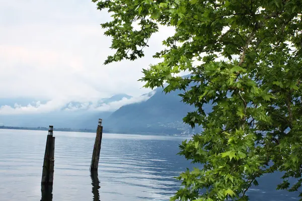 Lake Lugano İsviçre yaz aylarında.
