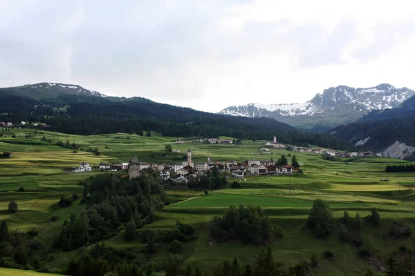 夏のスイス風景 — ストック写真