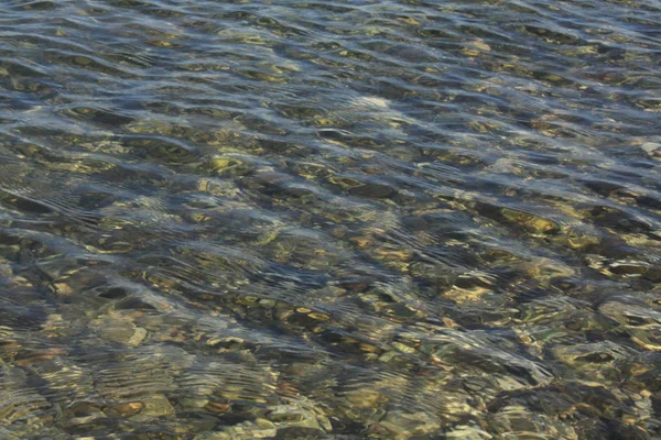 Plaj adriaticwith taşlar