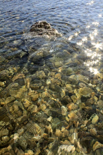 Plaj adriaticwith taşlar