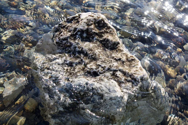 Kamienie adriaticwith plaży — Zdjęcie stockowe