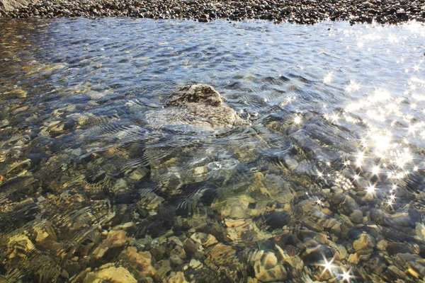 Plaj adriaticwith taşlar