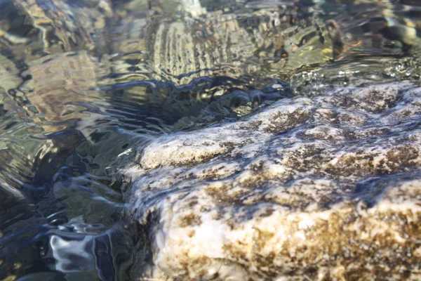 Plaj adriaticwith taşlar