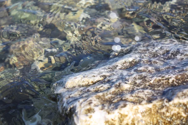 Plaj adriaticwith taşlar