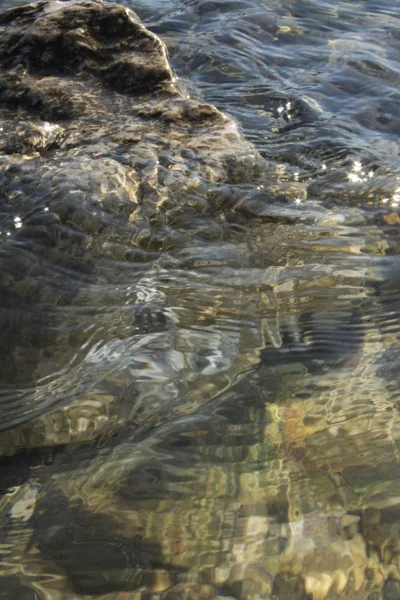 Plaj adriaticwith taşlar