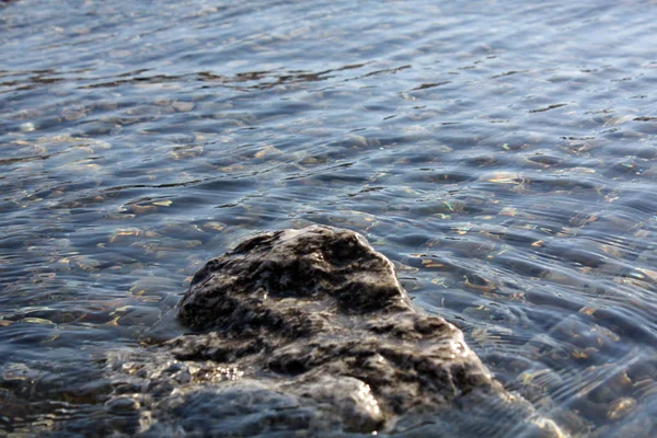 Plaj adriaticwith taşlar