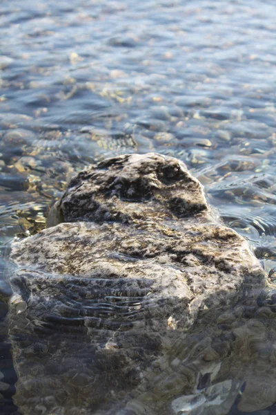 Côte Adriatique Avec Des Pierres — Photo