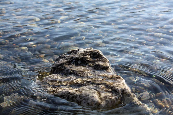 Kust Van Adriatische Zee Met Stenen — Stockfoto