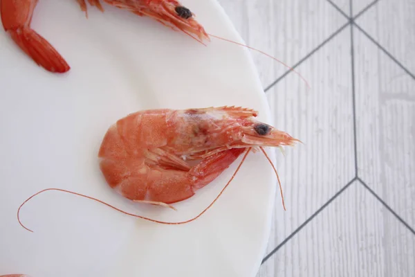 Boiled Shrimps White Plate — Stock Photo, Image