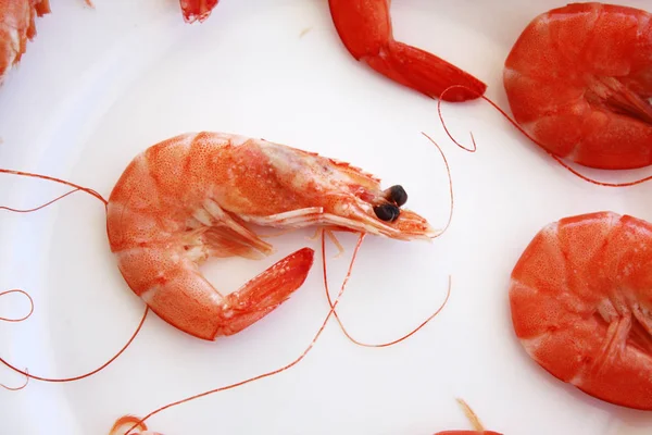 Tabak pişmiş karides