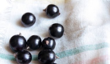 Textil mutfak havlu üzerinde Siyah frenk üzümü.