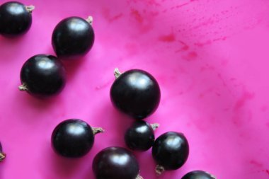 Pembe plaka üzerinde Siyah frenk üzümü.