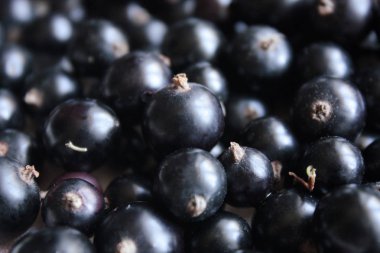 Siyah frenk üzümü meyveleri arka plan.