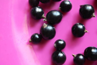 plaka üzerinde siyah frenk üzümü