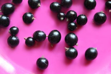 plaka üzerinde siyah frenk üzümü