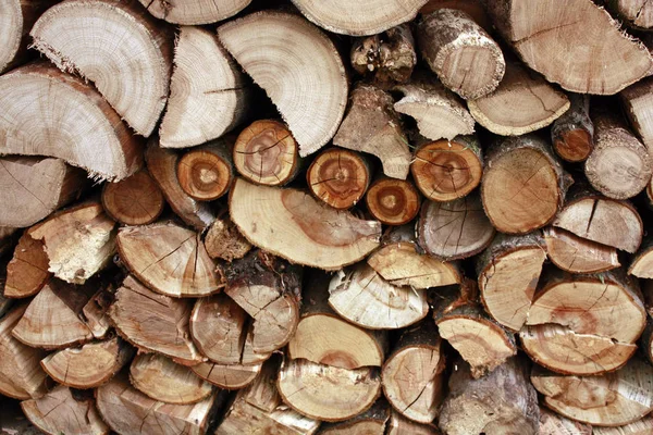 Yakacak odun eiche makro arka plan — Stok fotoğraf