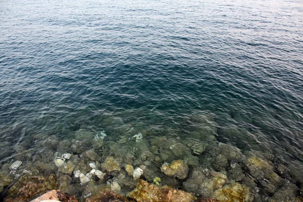 Adriyatik Denizi Kıyısında Yaz Aylarında — Stok fotoğraf