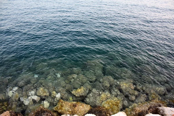 Adriyatik Denizi plaj sahil — Stok fotoğraf