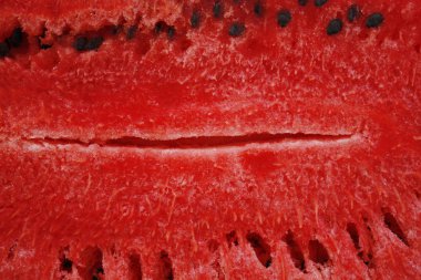 Kırmızı karpuz arka plan