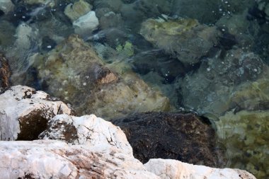 Plaj sahil üzerinde taşlar