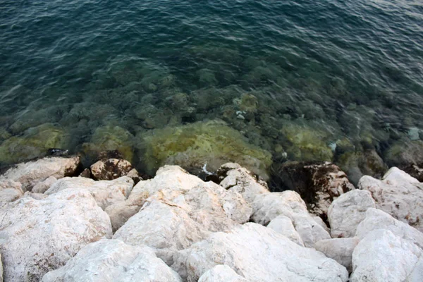 Адриатическое Море Камни Пляже Морское Побережье Закат — стоковое фото