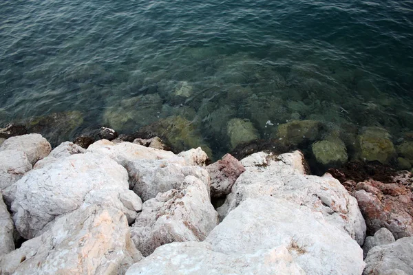 아드리아 바다입니다 해변에서의 해안입니다 — 스톡 사진