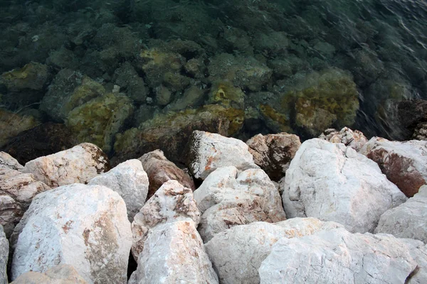 Mare Adriatico Pietre Sulla Spiaggia Costa Del Mare Giornata Sole — Foto Stock