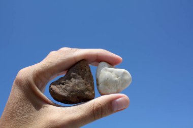 iki taş sahilde elinde kupa