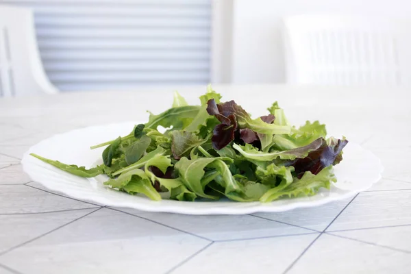 Зеленый салат на белой тарелке — стоковое фото
