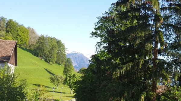 Švýcarská krajina v létě — Stock fotografie