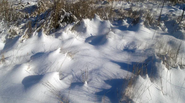 Snow in field — Stock Photo, Image